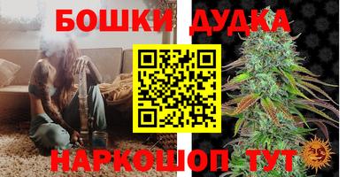 МДПВ Владикавказ
