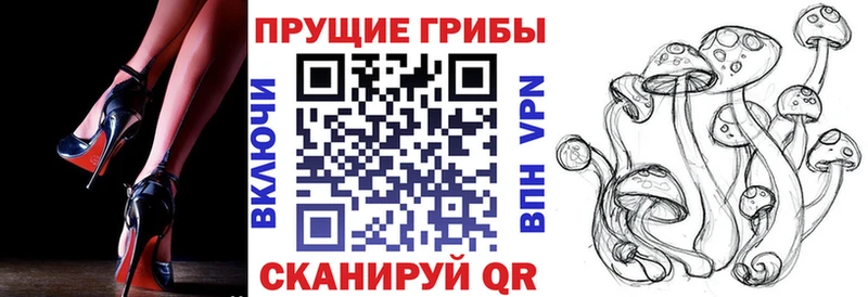 Псилоцибиновые грибы мицелий  Липецк 